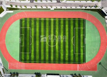 中國科學(xué)院重慶學(xué)院