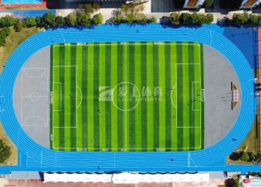 華中師范大學龍崗附屬中學