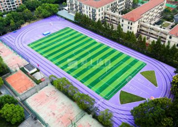 杭州市丁蘭實驗中學（國內首條紫跑）