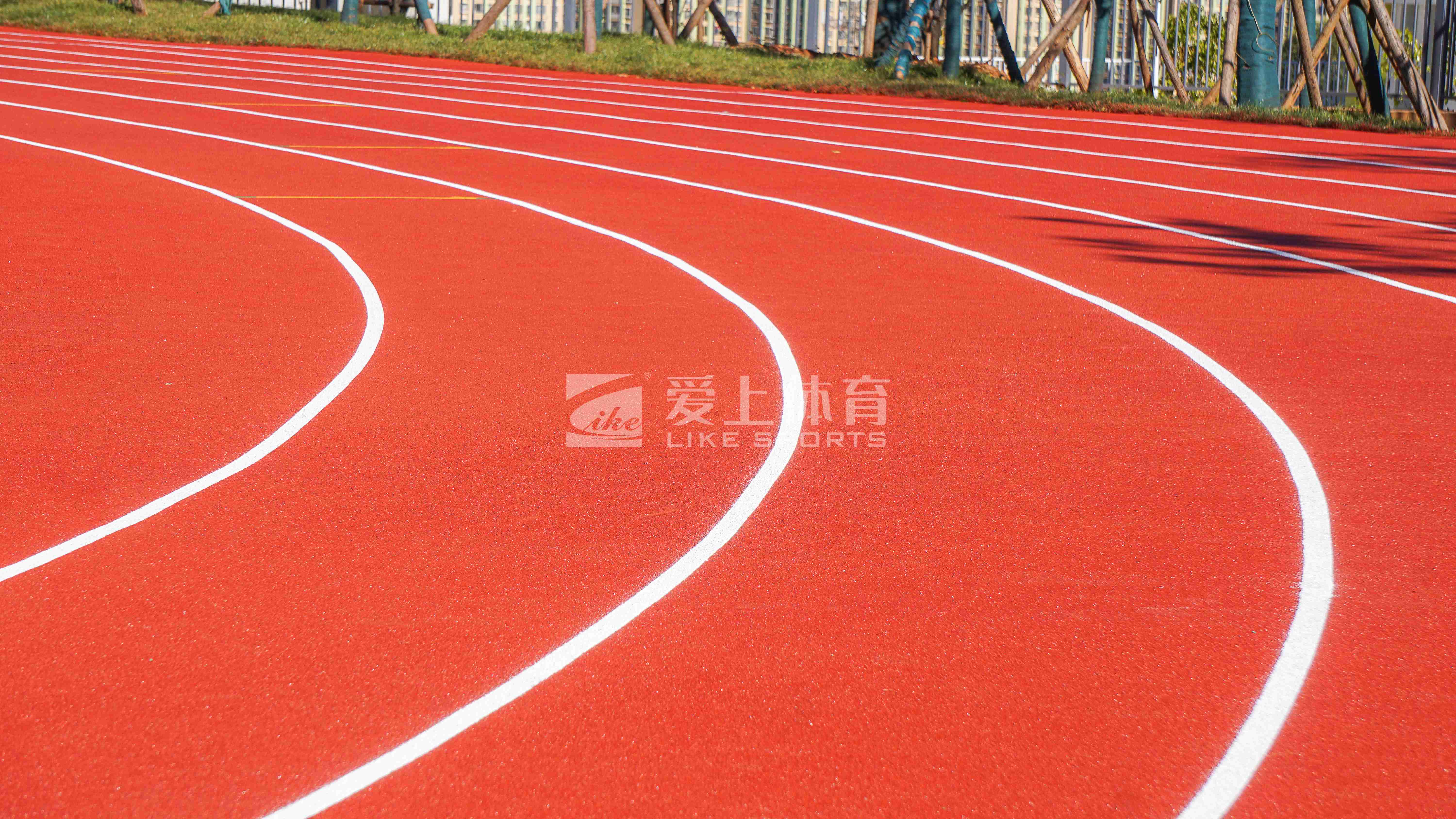 云南省昆明八中