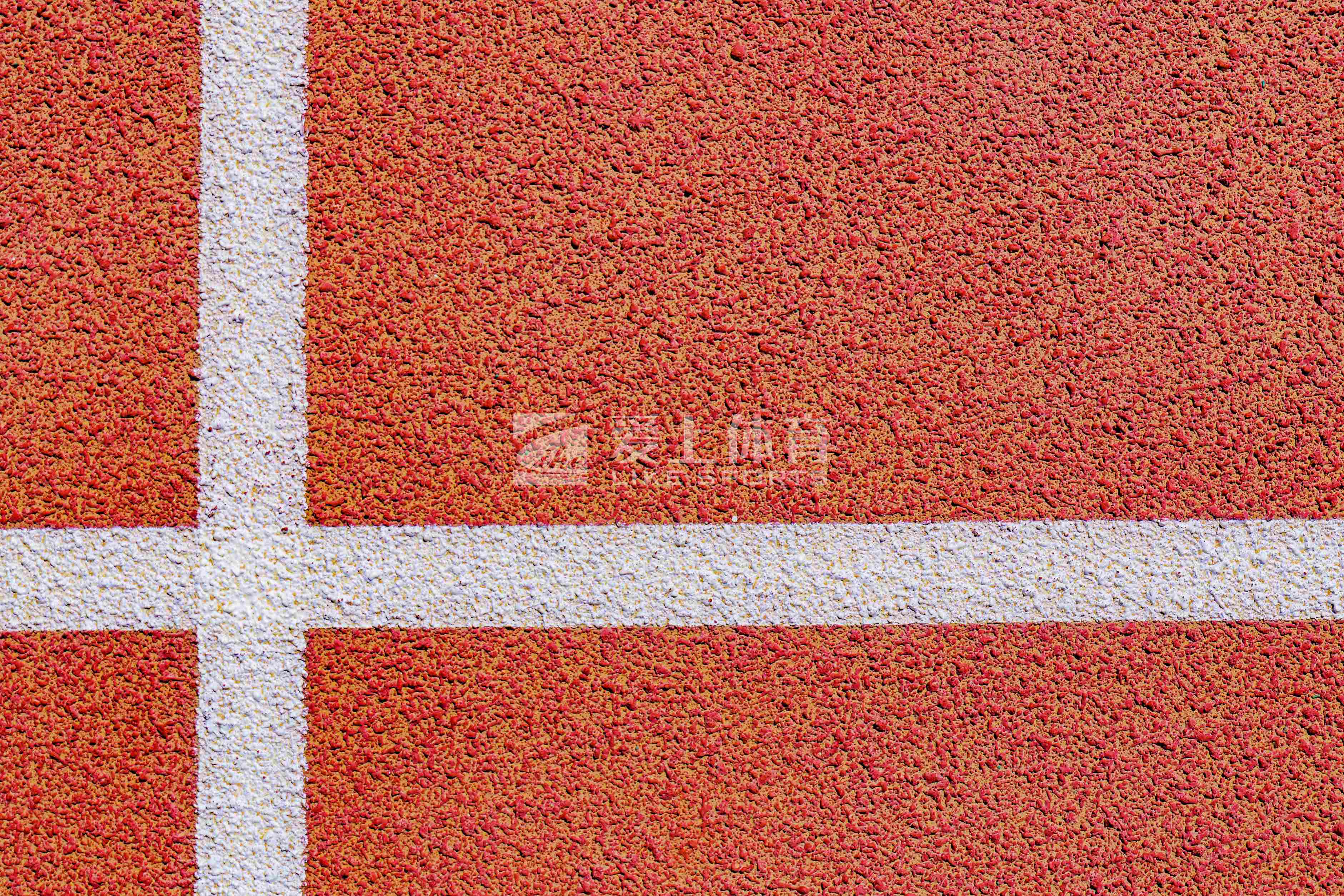 青藏高原首所高等學(xué)府青海民族大學(xué)|愛(ài)上全塑型自結(jié)紋塑膠跑道